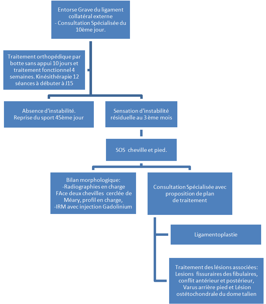 schéma traitement entorse cheville